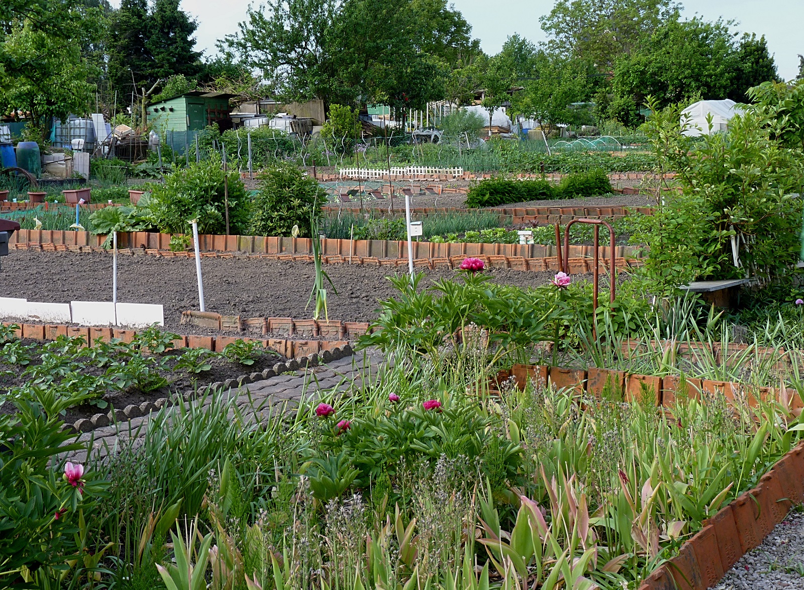 Des jardins familiaux